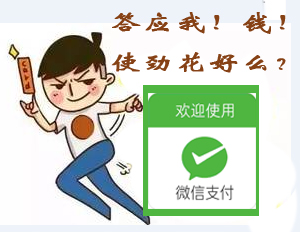  移动支付加盟：智慧长沙 (1).jpg